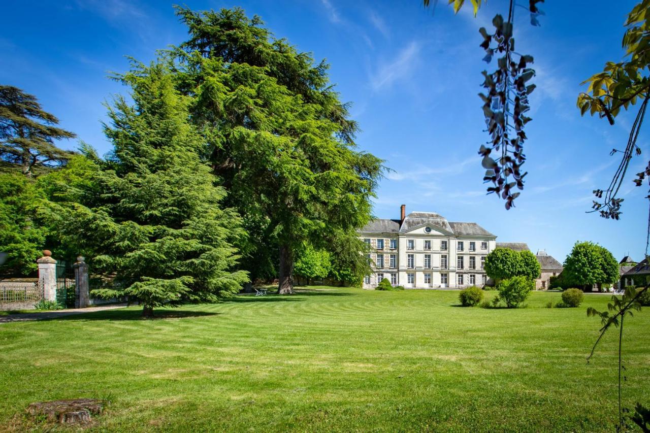 Chateau Laborde Saint Martin Candé-sur-Beuvron Екстериор снимка